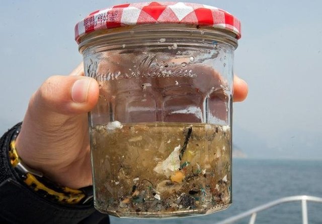 如果知道海洋中的塑料垃圾會進入人類肚子，你還會丟嗎？