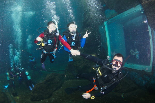 12/12正式上線！PADI 最新課程【休閑潛水員Resort Diver】 丨 一天拿證，潛遍全球