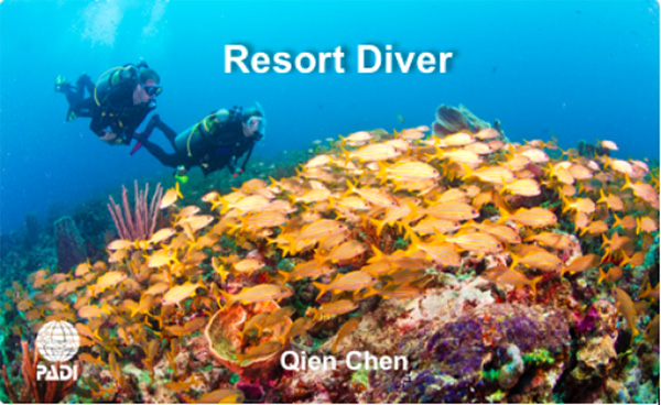 12/12正式上線！PADI 最新課程【休閑潛水員Resort Diver】 丨 一天拿證，潛遍全球