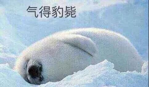 原來你是這樣的潛水員妹子！